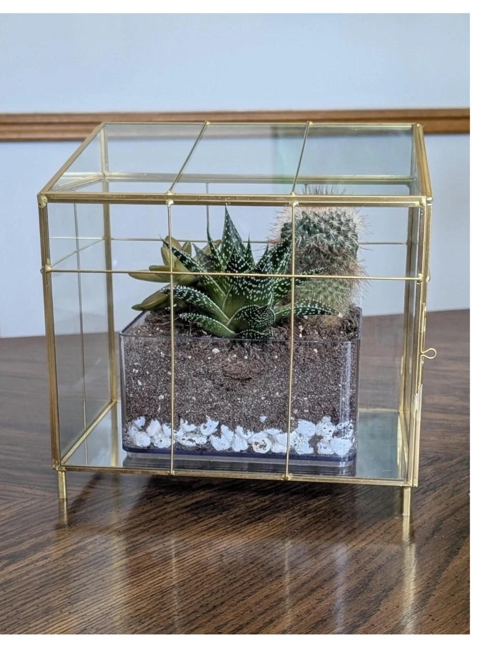 Mini Greenhouse Brass - Hearth & Hand™ with Magnolia